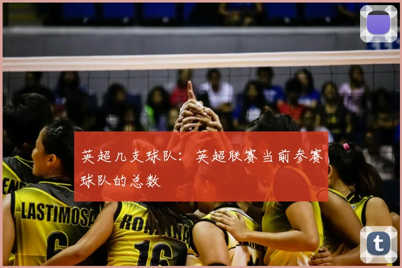 英超几支球队：英超联赛当前参赛球队的总数